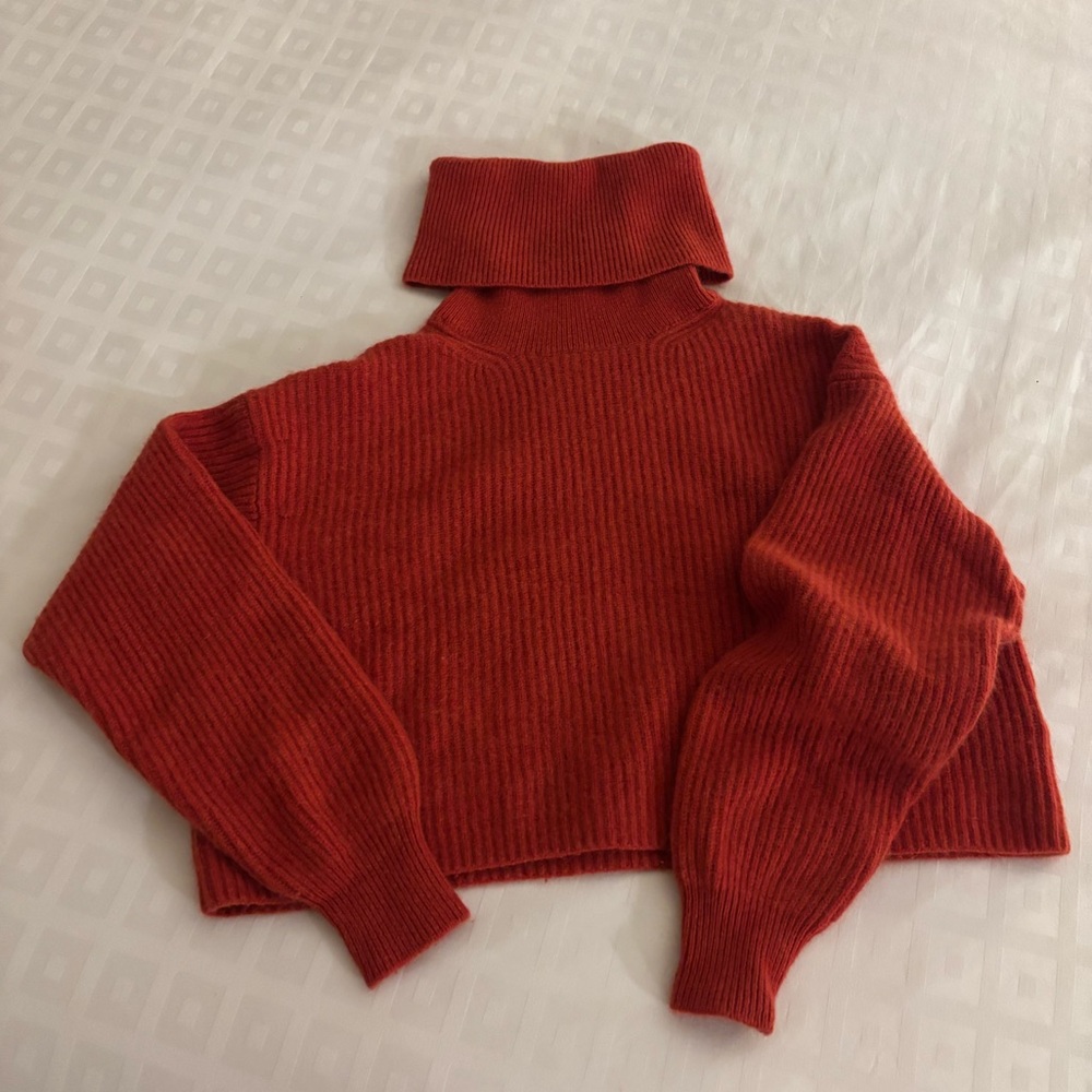 Babaton Rust Red Cropped Turtleneck Sweater